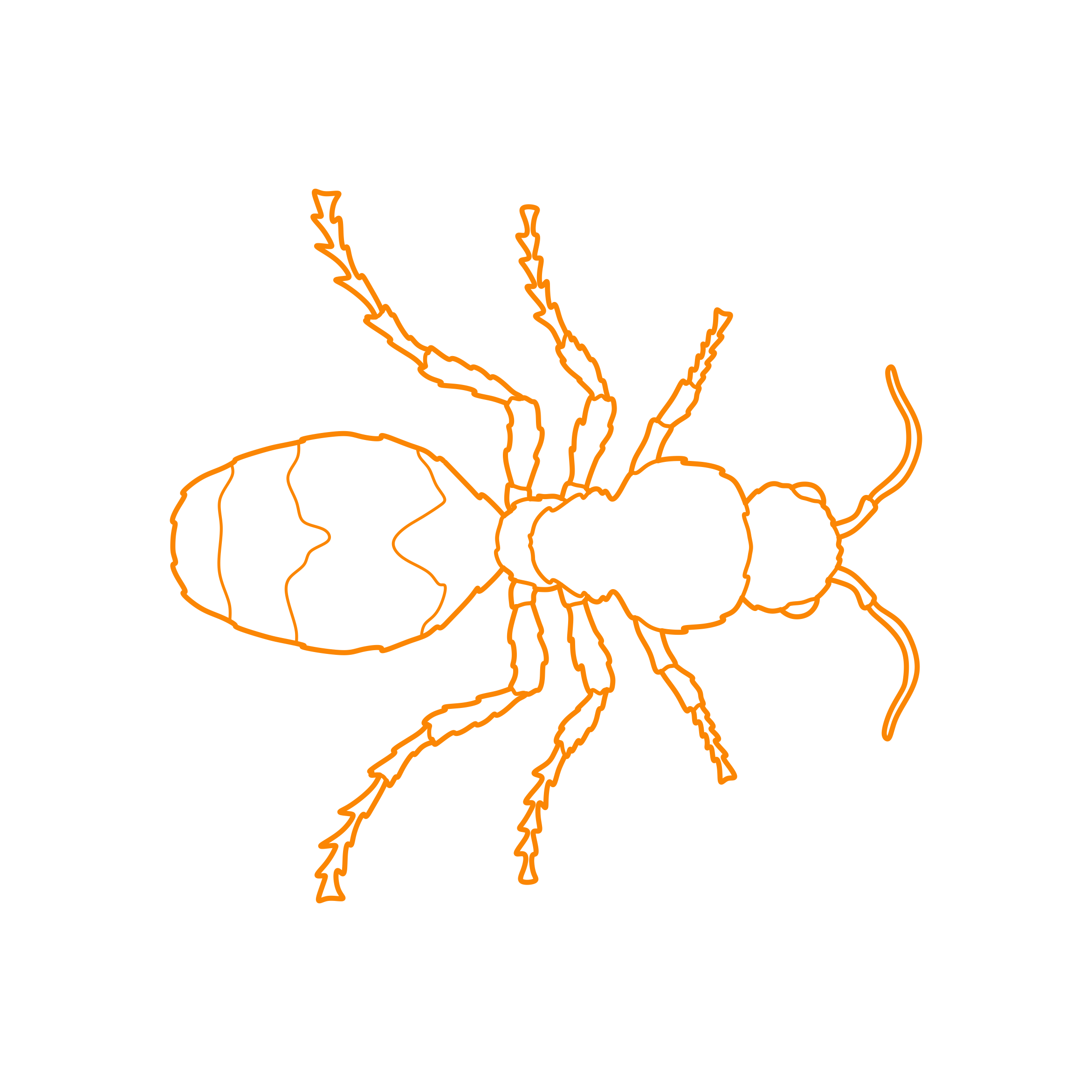 Animals Insects Red Velvet Ant Stencil Svg Design File Free Vectors